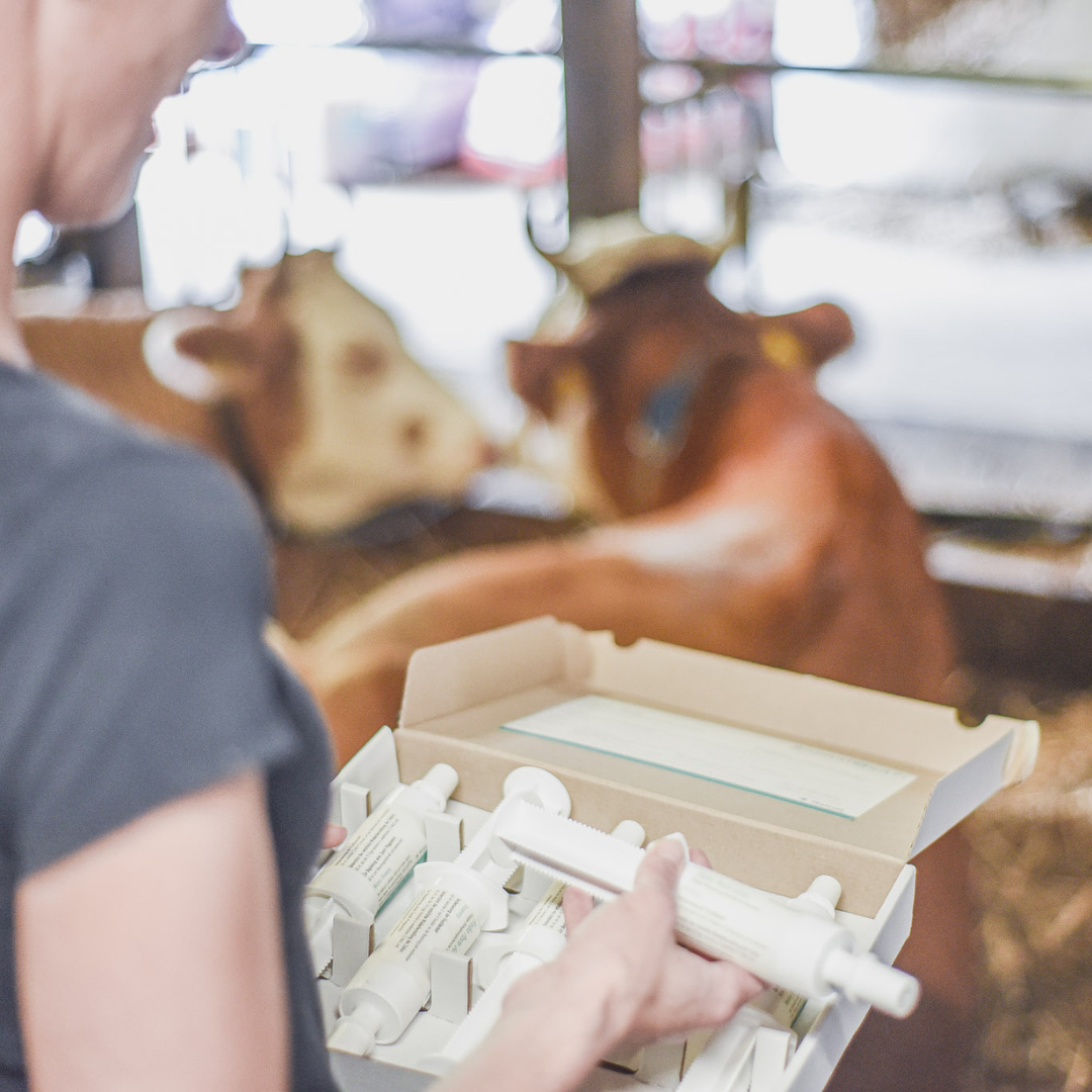 Fruchtbarkeit - wann nehme ich was?