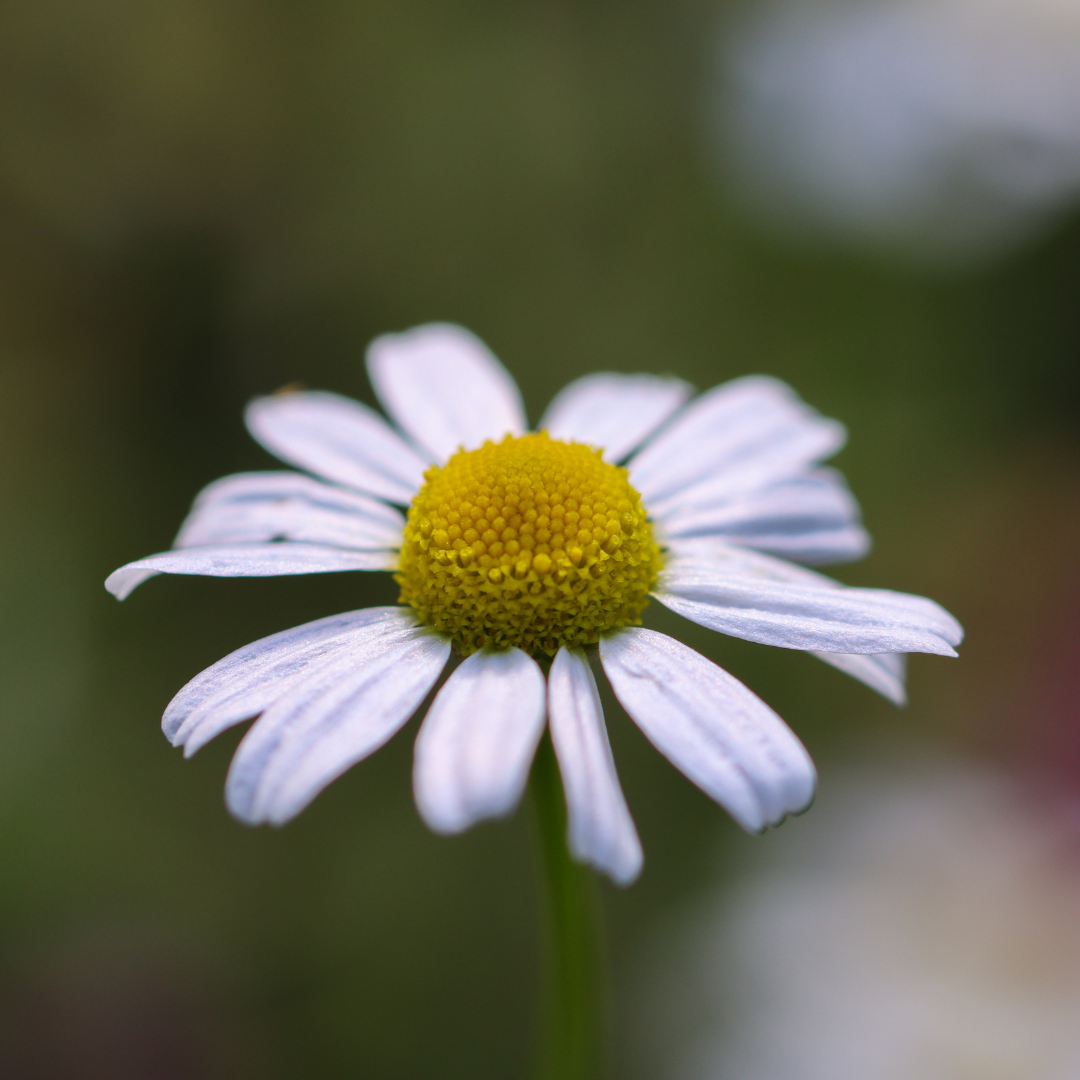 Durchfälle müssen nicht sein