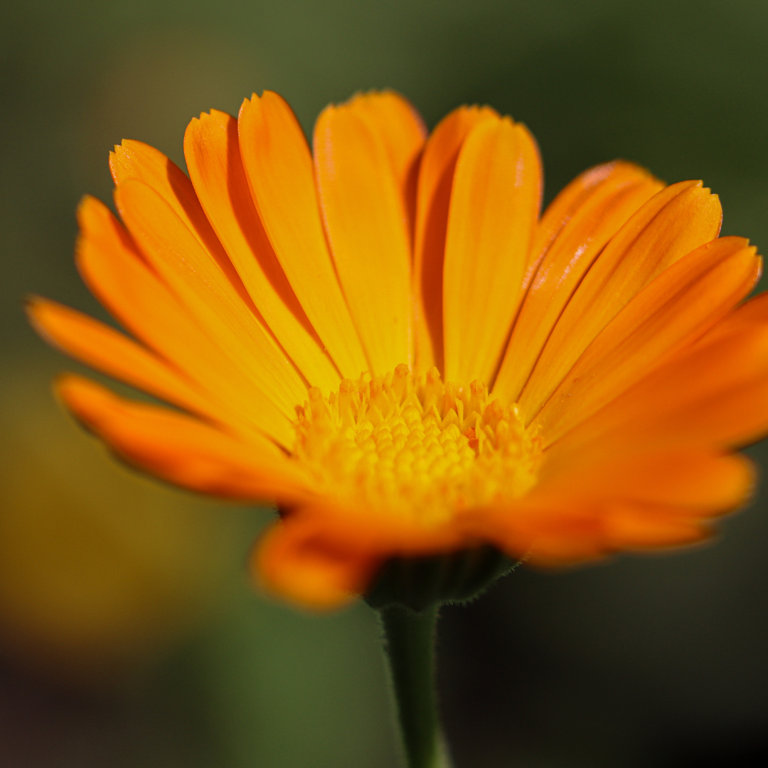 Wundversorgung unterstützen